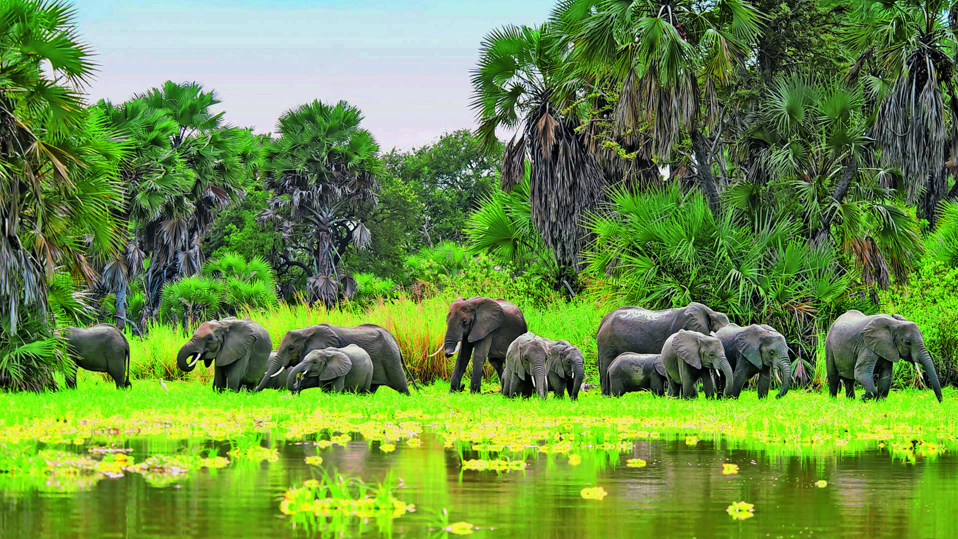 Tanzania's Hidden South