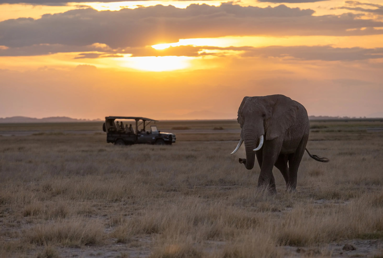 The Legacy Journey · Kenya Edition